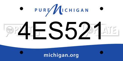 4ES521 Michigan License Plate