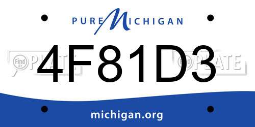 4F81D3 Michigan License Plate