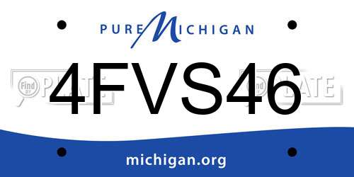 4FVS46 Michigan License Plate