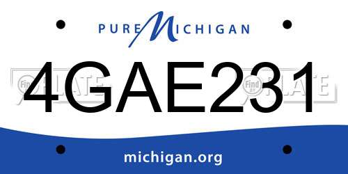 4GAE231 Michigan License Plate