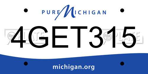 4GET315 Michigan License Plate