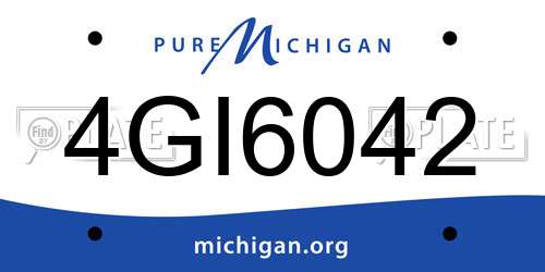 4GI6042 Michigan License Plate