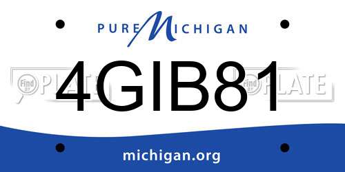 4GIB81 Michigan License Plate