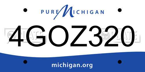 4GOZ320 Michigan License Plate