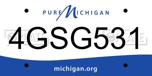 4GSG531 Michigan License Plate