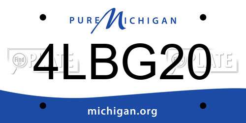 4LBG20 Michigan License Plate