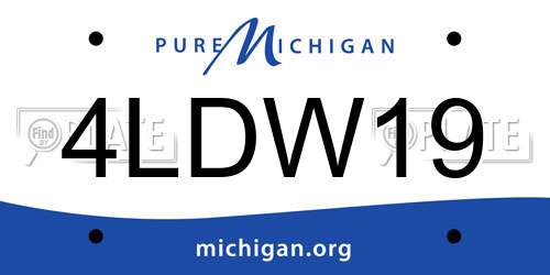 4LDW19 Michigan License Plate