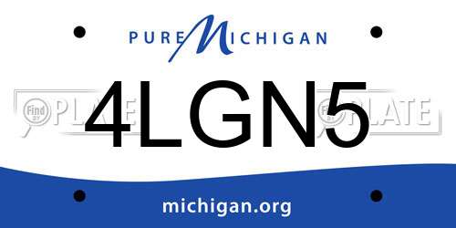4LGN5 Michigan License Plate
