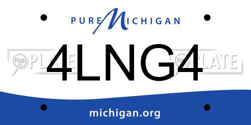 4LNG4 Michigan License Plate