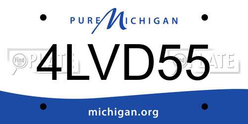 4LVD55 Michigan License Plate