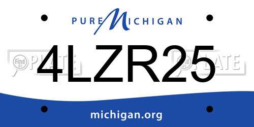 4LZR25 Michigan License Plate