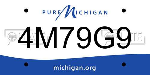 4M79G9 Michigan License Plate