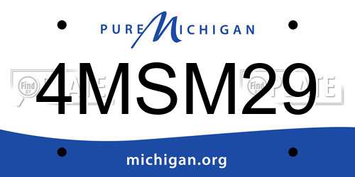 4MSM29 Michigan License Plate