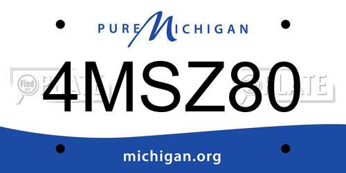 4MSZ80 Michigan License Plate