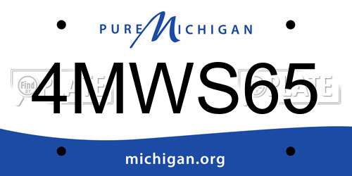 4MWS65 Michigan License Plate