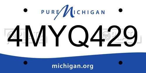 4MYQ429 Michigan License Plate