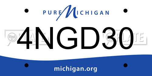 4NGD30 Michigan License Plate