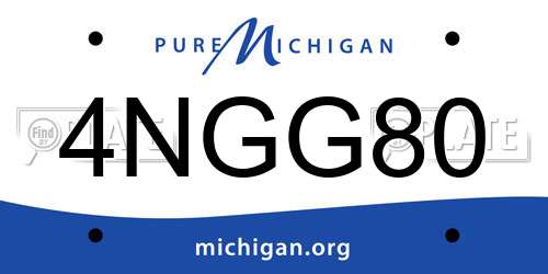 4NGG80 Michigan License Plate