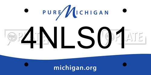 4NLS01 Michigan License Plate