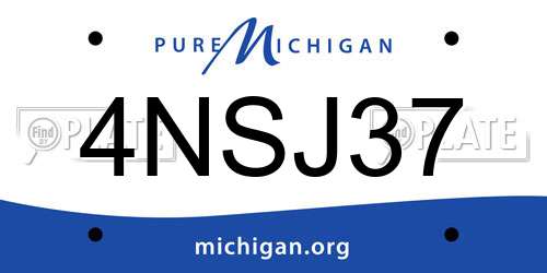 4NSJ37 Michigan License Plate