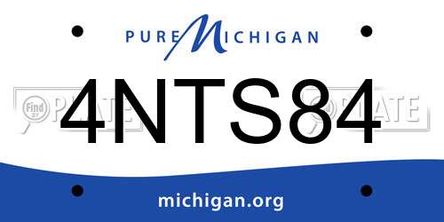 4NTS84 Michigan License Plate