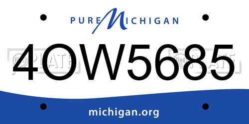 4OW5685 Michigan License Plate