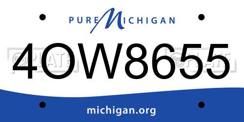 4OW8655 Michigan License Plate