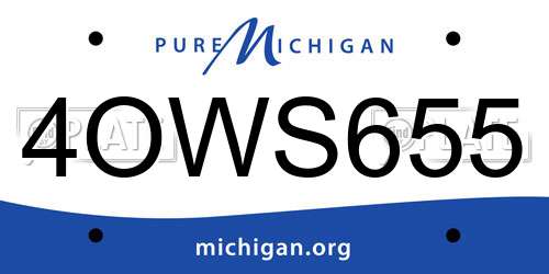 4OWS655 Michigan License Plate