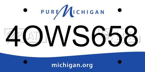 4OWS658 Michigan License Plate