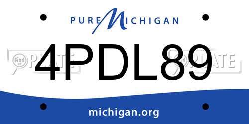 4PDL89 Michigan License Plate