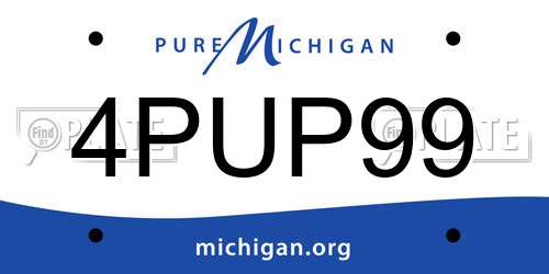 4PUP99 Michigan License Plate