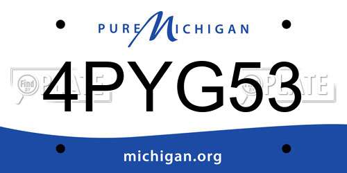 4PYG53 Michigan License Plate