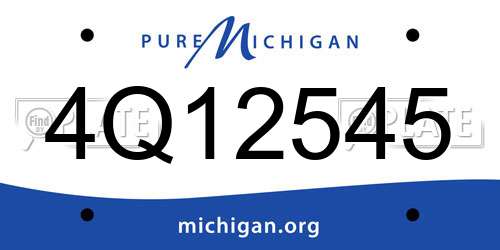 4Q12545 Michigan License Plate