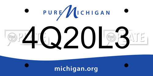 4Q20L3 Michigan License Plate
