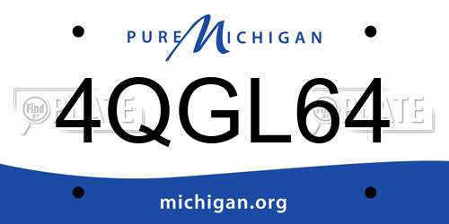 4QGL64 Michigan License Plate