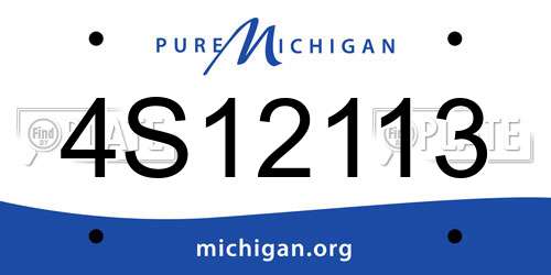 4S12113 Michigan License Plate