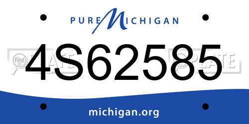 4S62585 Michigan License Plate