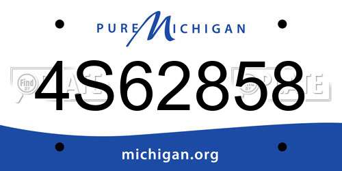4S62858 Michigan License Plate
