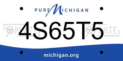 4S65T5 Michigan License Plate