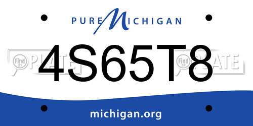 4S65T8 Michigan License Plate
