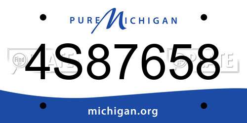 4S87658 Michigan License Plate