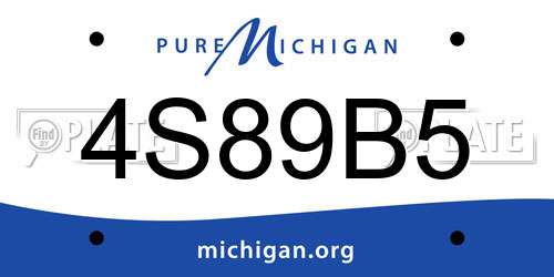 4S89B5 Michigan License Plate