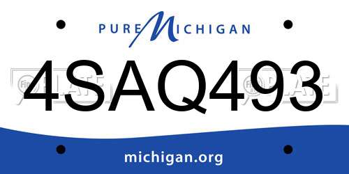 4SAQ493 Michigan License Plate