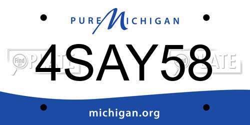 4SAY58 Michigan License Plate