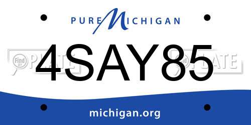 4SAY85 Michigan License Plate
