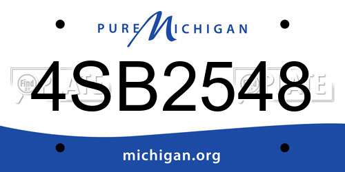4SB2548 Michigan License Plate