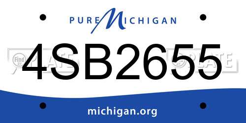 4SB2655 Michigan License Plate