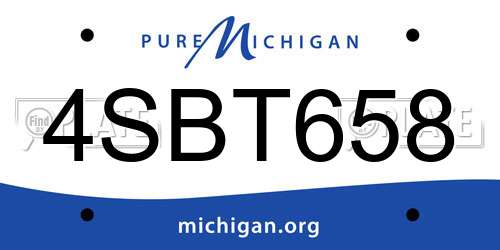 4SBT658 Michigan License Plate