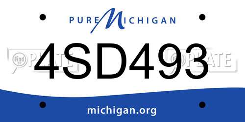 4SD493 Michigan License Plate