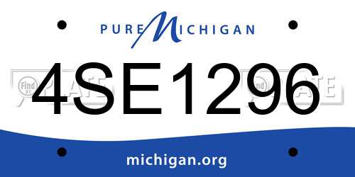 4SE1296 Michigan License Plate